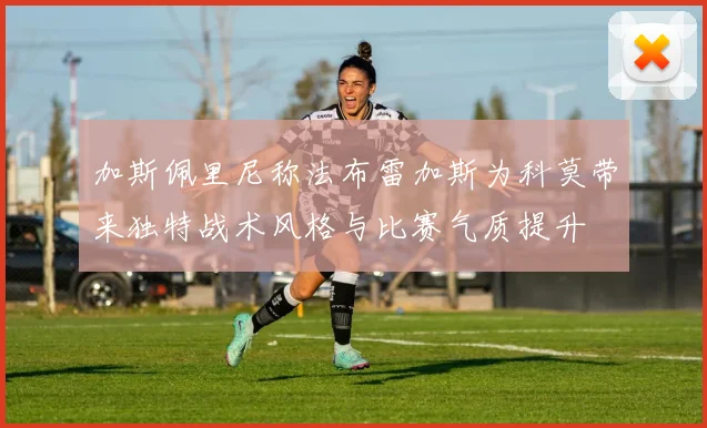 加斯佩里尼称法布雷加斯为科莫带来独特战术风格与比赛气质提升