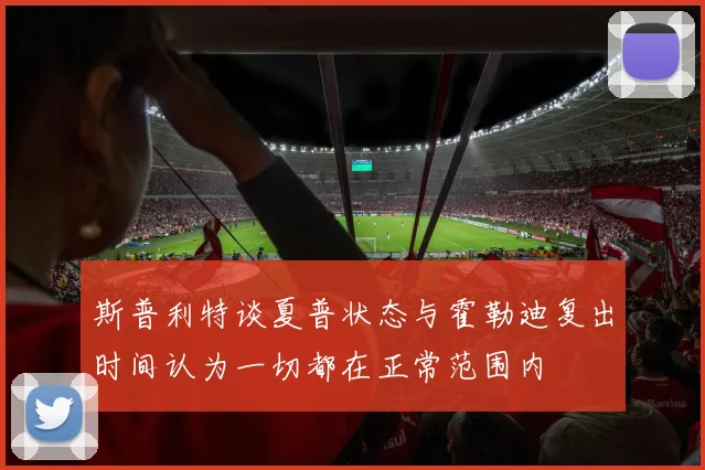 斯普利特谈夏普状态与霍勒迪复出时间认为一切都在正常范围内