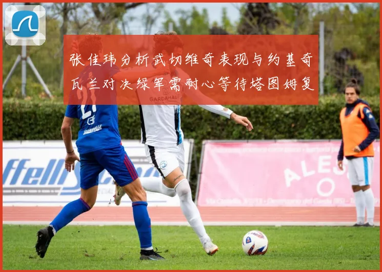 张佳玮分析武切维奇表现与约基奇瓦兰对决绿军需耐心等待塔图姆复出